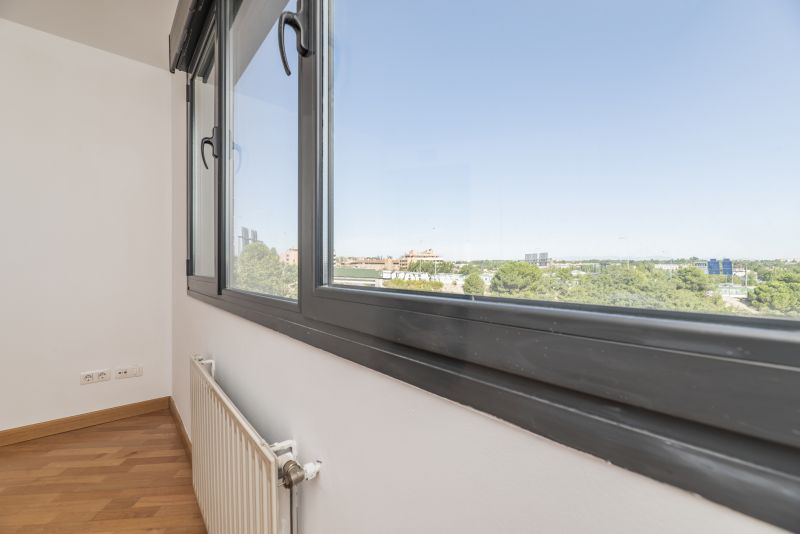 Contemporary Window Design